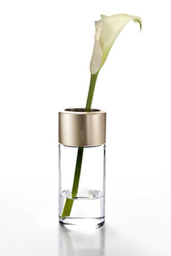 Carus 1014109 Fio Vase Prime, gold - 3