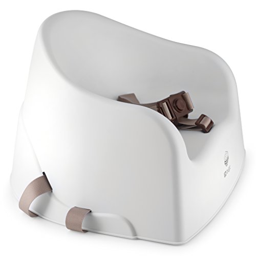 Boostersitz, Kindersitz für Stuhl, Sitzerhöhung für Kinder & Babys, mit verstellbaren Gurten zur Befestigung auf Stühlen, ideal als Hochstuhl für Kleinkinder, Hochstuhlsitz von EZ-Bugz, Weiß, geeignet für Kleinkinder ab 6 Monaten - 8
