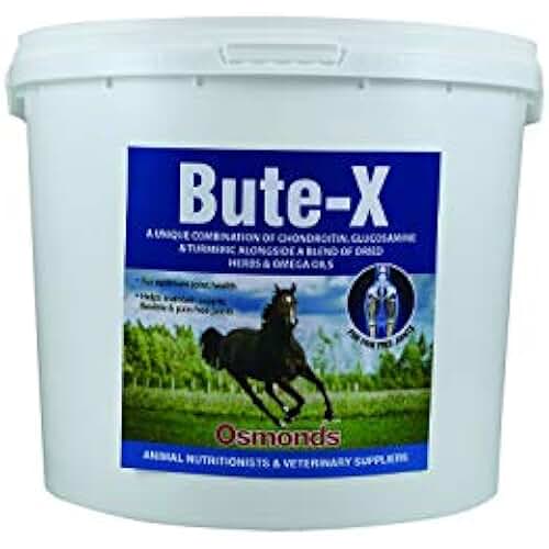 Amazon.co.uk anti inflammatory for horses
