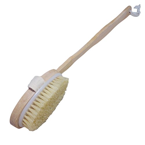 back exfoliator brush