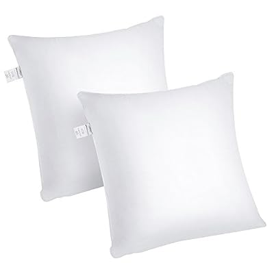 HOMFY Oreiller 60x60 Lot de 2, Oreiller Ferme, Coussin, Enveloppe Pur Coton, Garnissage Fibre Creuse, Uni Blanc, Gonflant, Anti-Transpiration, Anti-Acarien et Hypo-Allergénique