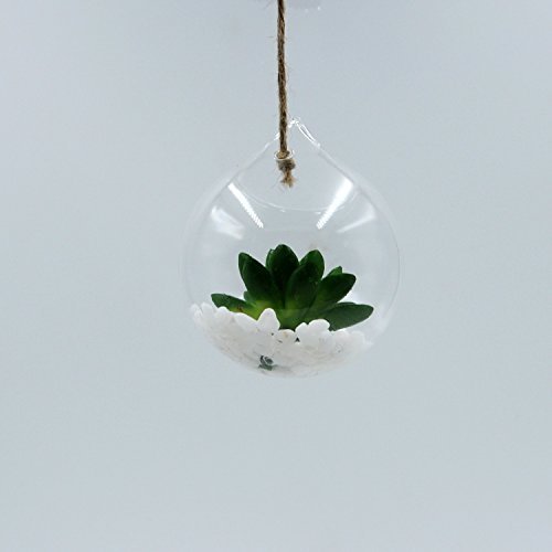 hodgea Creative zum Aufhängen Glas Kugel Vase Transparent Kultur Blume Home Hochzeit Dekoration, Glas, style 2 - 4