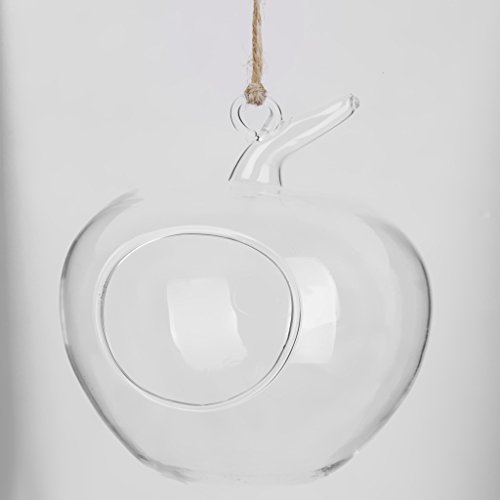 Klar Apfel Förmige Glas Hängen Vase Flasche für Pflanze Blume Schmuck - 6