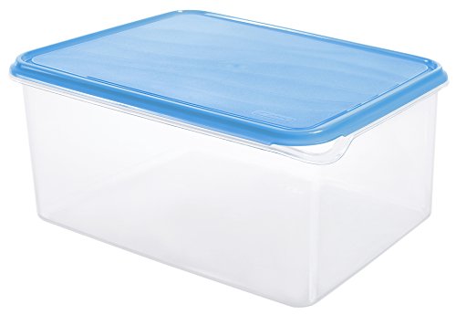 Rotho 1715306644 Frischhaltedose Rondo rechteckig aus Kunststoff PP, BPA-frei, hochwertig, geeignet fr Splmaschine und Gefrierschrank, 8 L, circa 31,5 x 24 x 14,5 cm, transparent / blau
