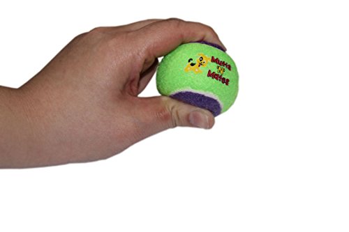 Small-Squeaky-Dog-Balls-by-MuttsNMates-super-bouncy-small-dogs-toy-3-Pack