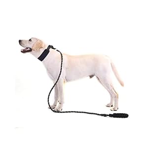 YANSHON Guinzaglio Regolabile per Cani Grande, Addestramento per Cani Guinzaglio Educativo del Cane del Nylon, Lungo…