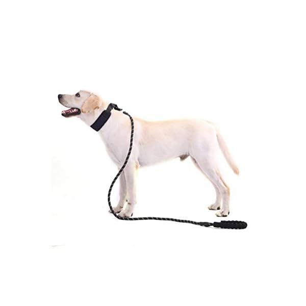 YANSHON Guinzaglio Regolabile per Cani Grande, Addestramento per Cani Guinzaglio Educativo del Cane del Nylon, Lungo…
