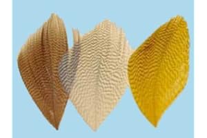 Turrall Fly Tying Mallard Flank 30 per Pack (average)