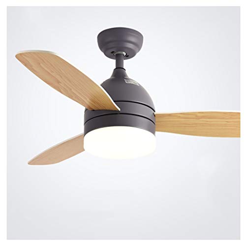 Haodan electronics candelabro Macaron Techo Luces Lámparas Ventilador contemporáneo Ventilador Remoto Ventilador de Control de iluminación Comedor Dormitorio Restaurante (Color : Gray, tamaño : 42in)