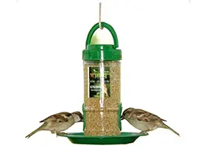 Amijivdaya Small Bird Feeder with Holding Handle Pack of 1