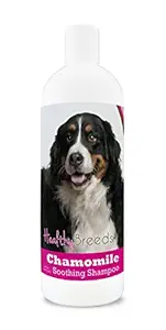 Healthy Breeds Chamomile Dog Shampoo & Conditioner with Oatmeal & Aloe for Bernese Mountain Dog - Over 200 Breeds - 8 oz - Gentle for Dry Itchy Skin - Safe with Flea and Tick Topicals