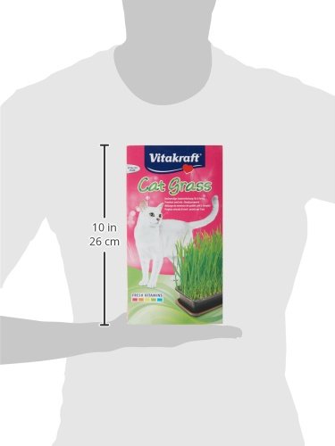 Vitakraft-24031-Herbe--Chat-Cat-Gras