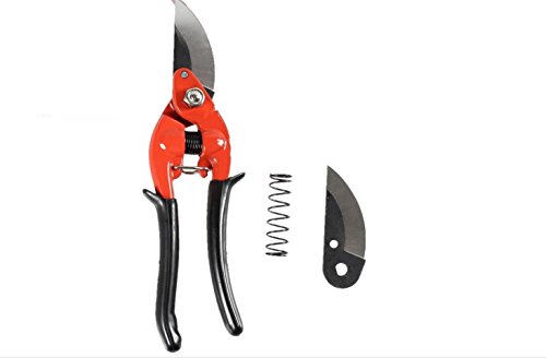 Preisvergleich Produktbild Ohuhu Traditional Bypass Scheren, Gartenschere