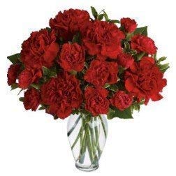 Ramo de claveles rojos naturales recien cortados. Opción entrega 24 horas! Ahora incluye una nota personalizada GRATIS