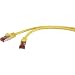 Produktbild Renkforce RJ45 Netzwerk Anschlusskabel CAT 6 S/FTP 20 m Gelb mit Rastnasenschutz, vergoldete Steckkontakte, Flammwidrig