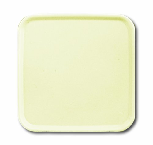 Preisvergleich Produktbild Busch-Jaeger 2548-212-50 A Blindzentralscheibe