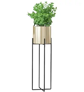 Zain Decor Home Decorative Tall Metal Plant Stand Planter for Living Room Bedroom, -27 Inch (Gold)