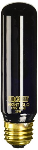Exo Terra Lámpara Incandescente Night Heat, 25 W
