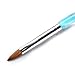 TOOGOO(R) 5pcs Acrylic Nail Art UV Gel Carving Pen Brush Liquid Powder DIY No. 4/6/8/10/12