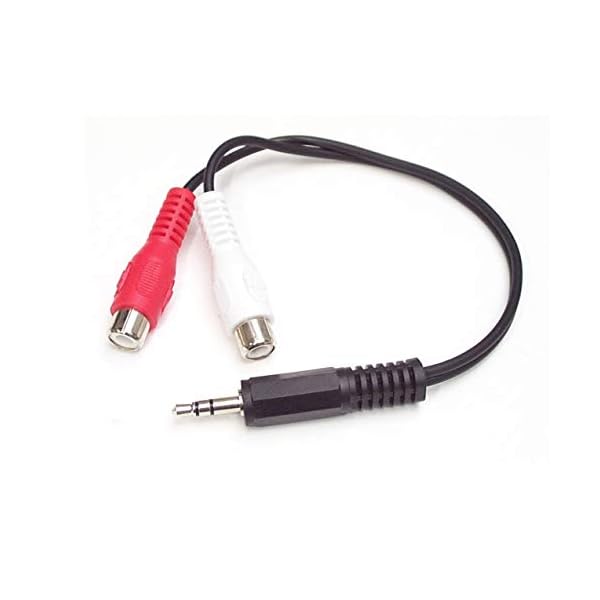 Startech.com MUMFRCA - Adaptador audio mini Jack 3.5 mm a RCA estéreo, 15 cm