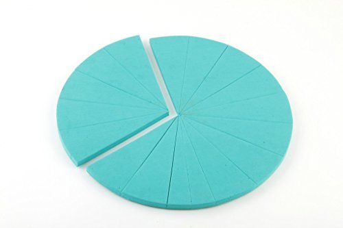 Wisetime Eva Foam Area Model Of Circle/Rectangle With Magnet At Back