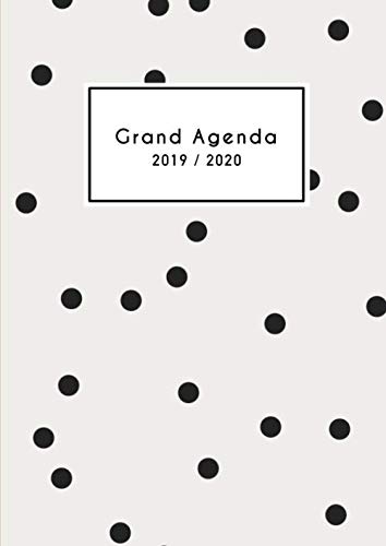 Télécharger Grand Agenda 2019 2020: 18 mois Agenda de Juillet 2019 à Décembre 2020, Semainier grand format 21x livre En ligne