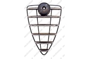 Prasco AA2102001 - Griglia Radiatore