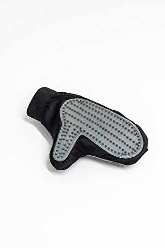 Europet Bernina internacional 3-in-1 S-T pelo Grooming Guante, 23 x 11 cm