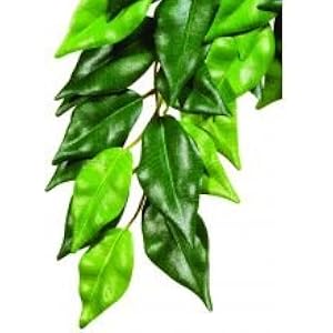 Rolf Hagen Exo Terra Terrariumpflanze / Birkenfeige, aus Seide