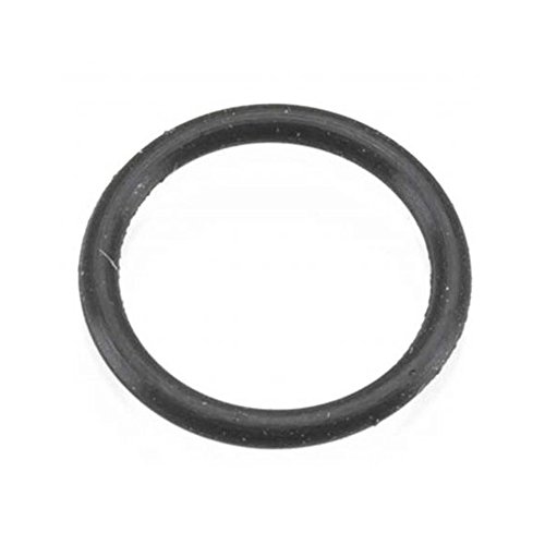 Preisvergleich Produktbild Iwata Packing Head O-Ring