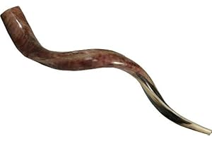 SHOFAROT ISRAEL Corne Jerusalem Shofar Kosher Yemenite Horn Instrument Natural Shoffar Shophar schofar Kudu Antelope Judaica Casher