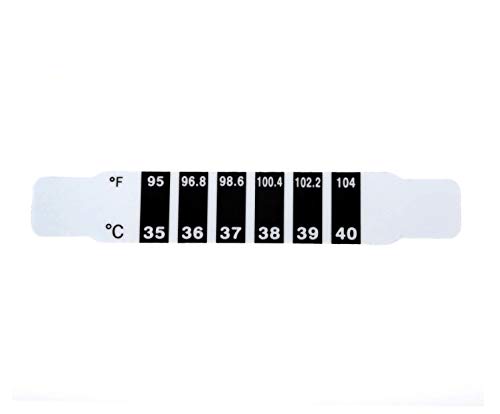 Bestforever21 Front, tête, bande, thermomètre, fièvre, corps, bébé, enfant, essai, température