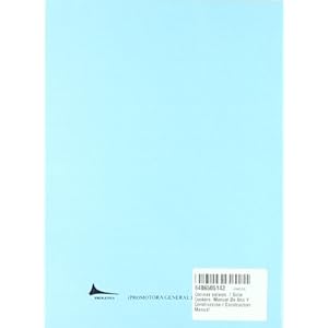 Acumuladores de electricidad - manual practico