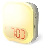 Gdt Global Dream Technology) Sunrise Alarm Clock Wake Up Light With Vibration,heavy Sleepers, Bedroom, With Sunrise Simulation, Sleep Aid,dual Alarm Settings, Snooze, Nightlight, 6sounds, Gray