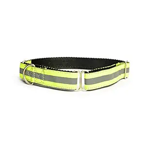 PetWale Reflective Green Dog Martingale Collar - (Size : Medium)