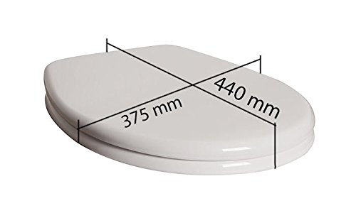 WC Sitz mit Deckel und Softclose ink. Edelstahlscharniere Absenkautomatik Deckel - 3