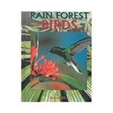 Rain Forest Birds Rain Forest Birds