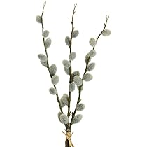 Floratexx Künstlicher WEIDENKÄTZCHEN Bund ca 47cm. Kätzchenweide, Palmkätzchen-Zweige., Braun