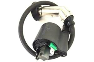 Zündspule 50ccm Euro 4 ZNEN Roller Motorroller Retro Scooter Casabike Nova Gt Union Alpha Mobil