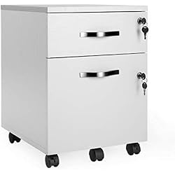 VASAGLE Meuble à dossiers, Caisson de Rangement Verouillable sur roulettes, 2 Tiroirs, Facile à Monter,Robuste, pour Bureau, Studio, Chambre, Blanc LCD22WV1