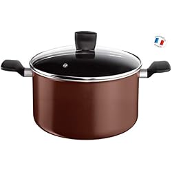 Tefal B3006902 Extra Brownie Marmite avec Couvercle Aluminium 11,6 L 30 cm