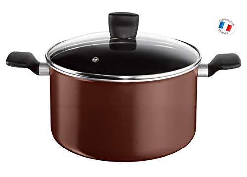 Tefal B3006902 Extra Brownie Marmite avec Couvercle Aluminium 11,6 L 30 cm