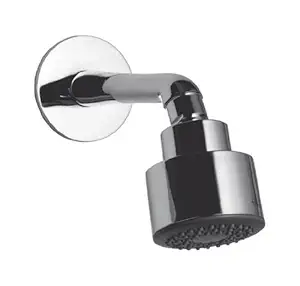 Hindware Showers Overhead Shower with Shower Arm and Wall Flange (Chrome)