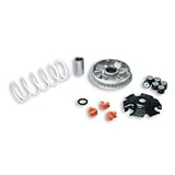 variador malossi multivar 2000 honda forza 125  MALOSSI - 60888 : Variador Multivar Malossi DINK STREET/Superdink 125 PEOPLE GTI /K-XCT 125 5114266