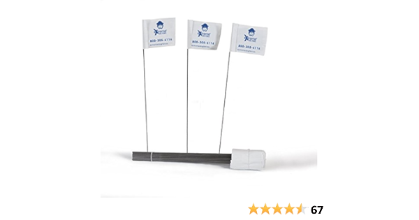 extreme dog fence system