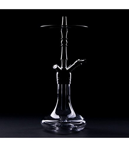AMY DELUXE Shisha Wasserpfeife LITTLE PALM SS12 Edelstahl (Rauchsäule) (Transparent) - 2