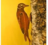 Woodpecker Bird Silhouette