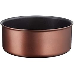 Tefal INGENIO Resource Casserole 22 cm Marron Tous Feux Dont Induction L6751602