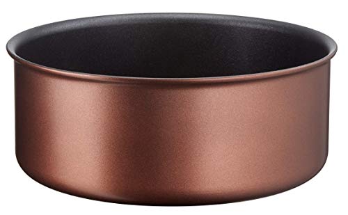 Tefal INGENIO Resource Casserole 22 cm Marron Tous Feux Dont Induction L6751602