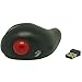 Price comparison product image Mice, BBring Wireless Finger Handheld USB Trackball Mouse Mice PC Laptop Desktop PC OS